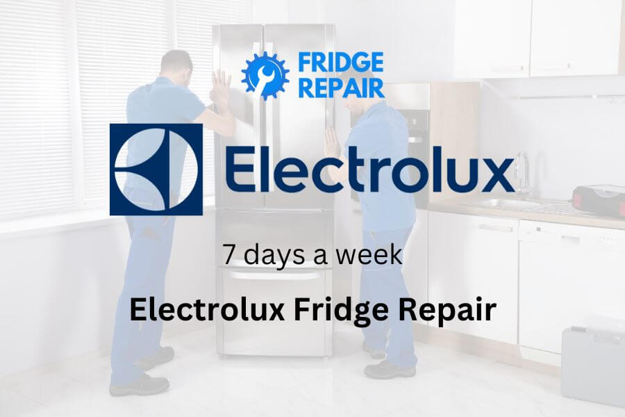 Electrolux Fridge Repair